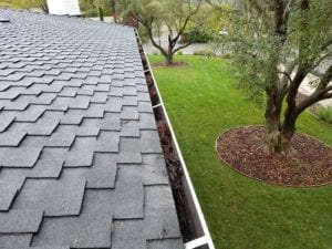 Gutter Cleaning